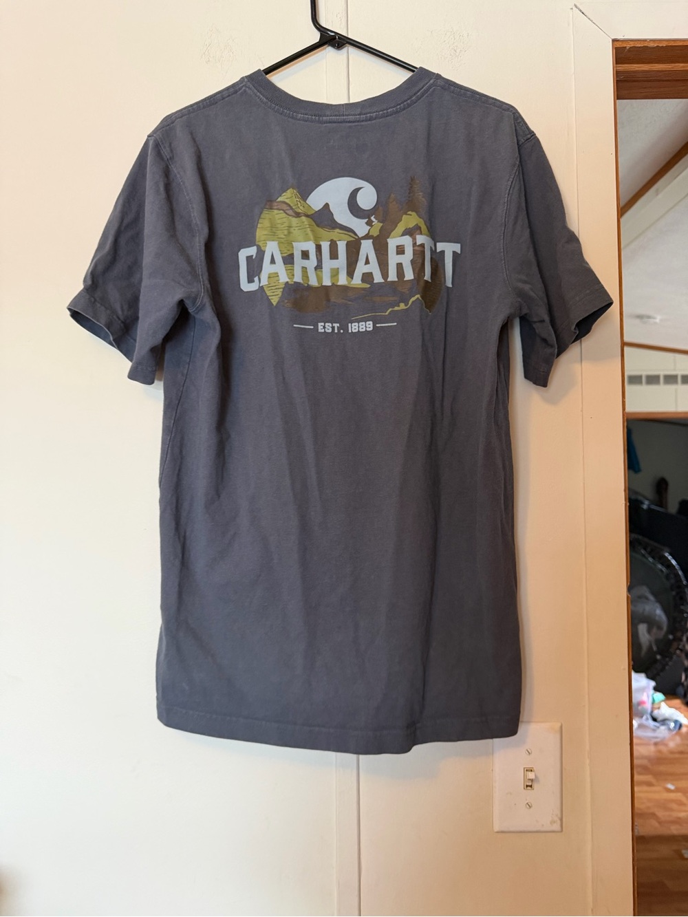 Carhartt Short-Sleeve Graphic Tee in Charcoal with Olive and White Logo